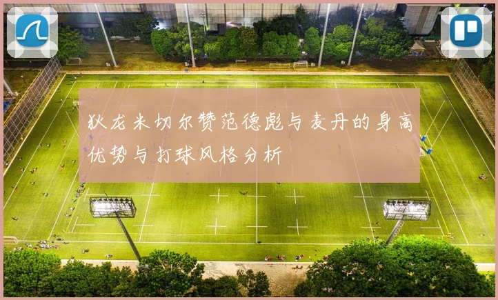 狄龙米切尔赞范德彪与麦丹的身高优势与打球风格分析