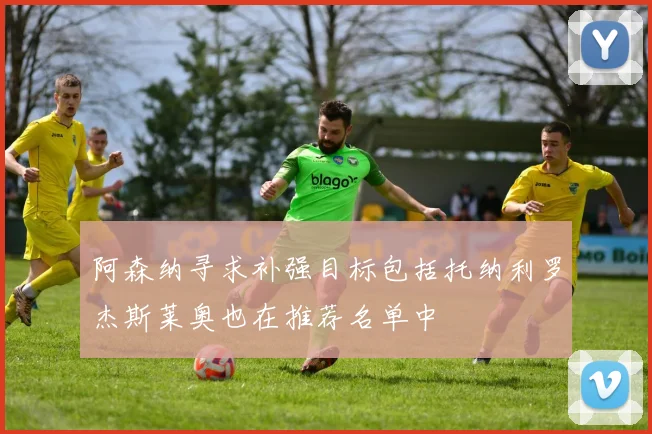 阿森纳寻求补强目标包括托纳利罗杰斯莱奥也在推荐名单中